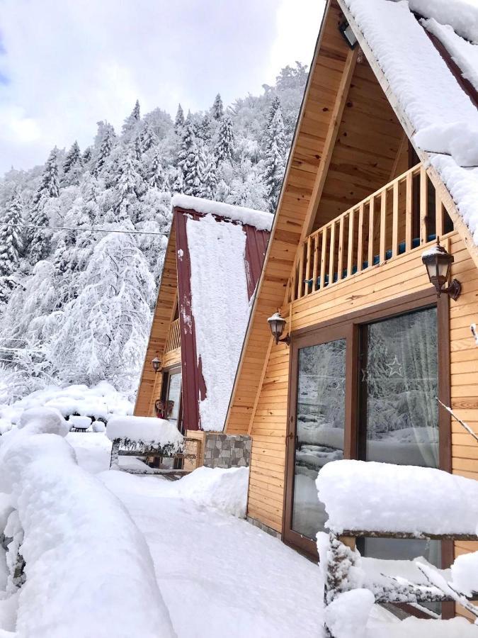 Foga Bungalov Çamlıhemşin Exteriér fotografie