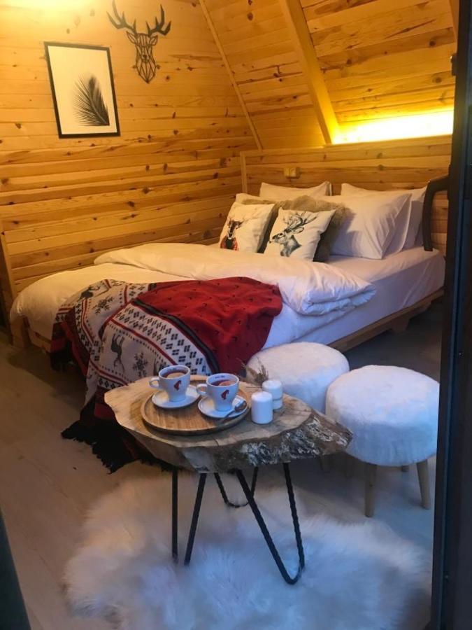 Foga Bungalov Çamlıhemşin Exteriér fotografie